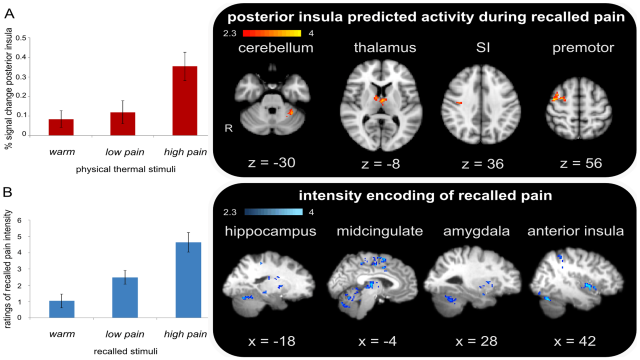 Почему ожидание боли сильнее реальной боли: как работает мозг