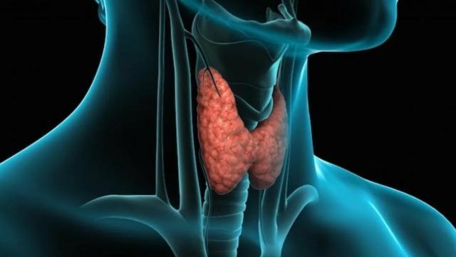 Почему от стресса мерзнут руки и ноги: самое простое объяснение