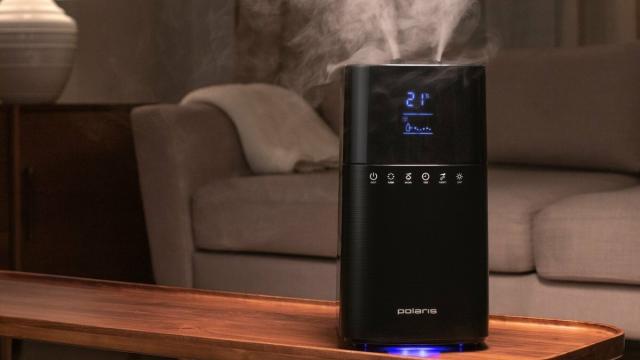 Товар дня — увлажнитель: как успеть улучшить микроклимат в квартире до весны