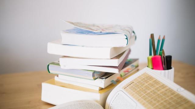 Эксперт объяснила лучший метод повторения тем перед ЕГЭ