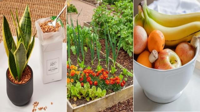 Зачем собирать винные пробки: неожиданная польза для сада и дачи