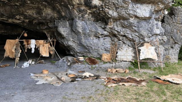 Когда появились домашние собаки: учёные выяснили, что на 3000 лет раньше, чем мы думали