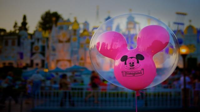 Почему вас не пустят в Диснейленд: строгие правила для туристов