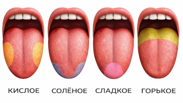 Почему соль соленая, а сахар сладкий: научное объяснение, которое вы искали