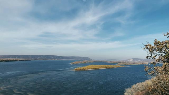 Составлена библиотека ДНК всех волжских рыб: найдены новые виды