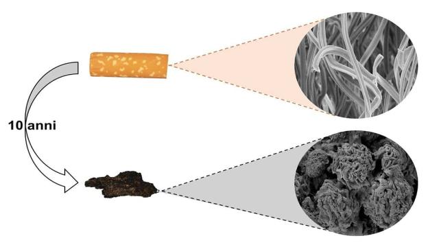 Что происходит с сигаретами, когда мы их выбрасываем на землю