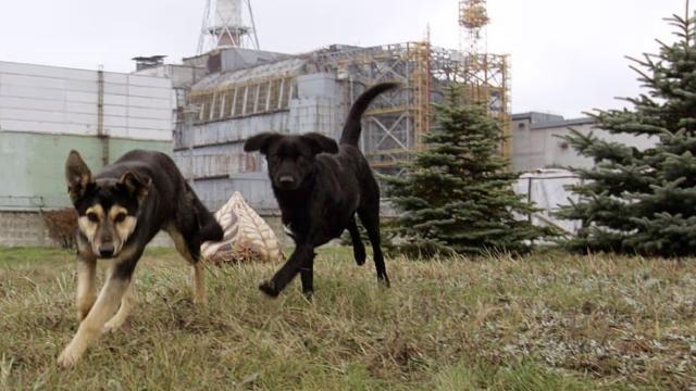 40 лет Чернобылю: как цепочка мелких решений за одну ночь изменила мир