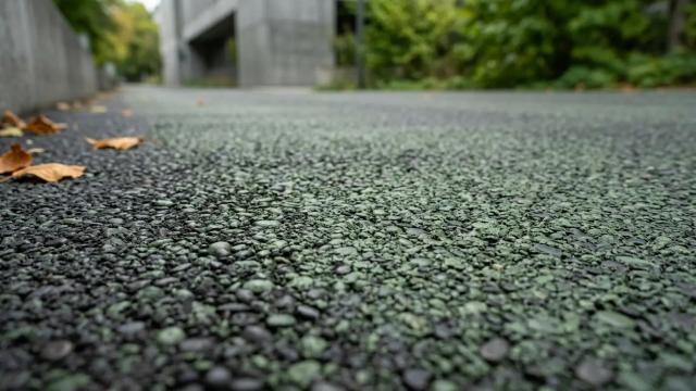 Асфальт из водорослей в 100 раз безопаснее и прочнее. Когда он появится?