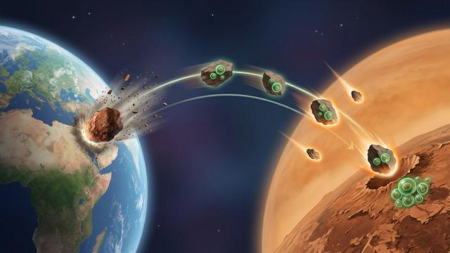 Жизнь на Венере могла прийти с Земли: расчёты и шансы