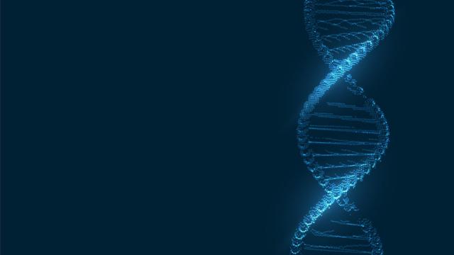 Как ученые из Гарварда нашли ген долголетия и что из этого получилось