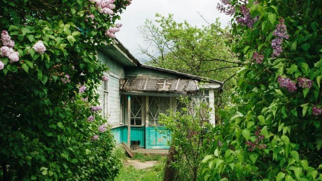 Мошенники нацелились на российских дачников