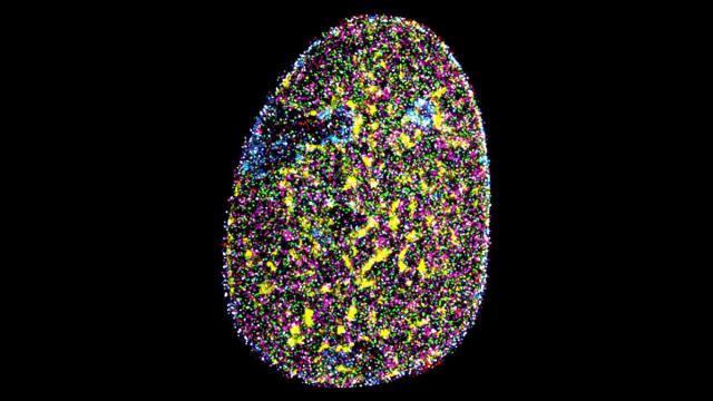 Новая визуализация показала компоненты клеток в наномасштабе