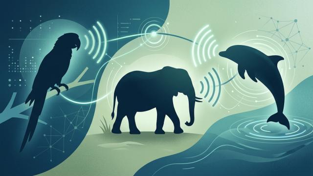 Попугаи называют по именам людей и животных и точно знают, кого зовут