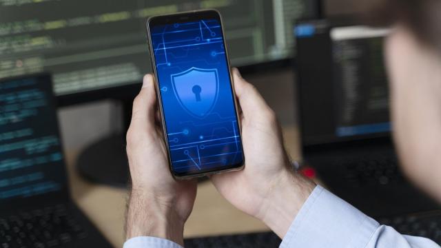 «Коммерсантъ»: в России выросли госзакупки VPN