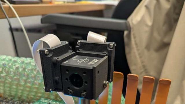 Пауки-скакунчики вдохновили инженеров на создание новой 3D-камеры