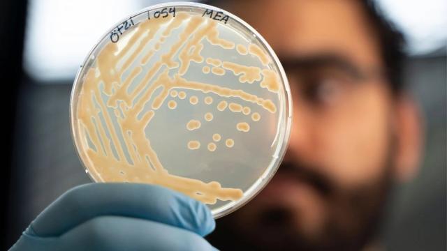 Ученые обнаружили живые микробы на мумии возрастом 5300 лет
