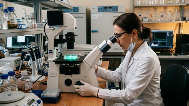 Что мешает человеку отрастить потерянную конечность? Ученые нашли важную подсказку