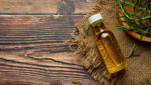 Как сделать человека «невкусным» для комаров: ответ ученых