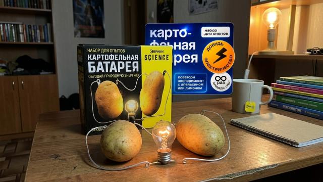 Маятник Ньютона, плазменный шар и ещё 8 доступных штук, которые помогут вам понять мир