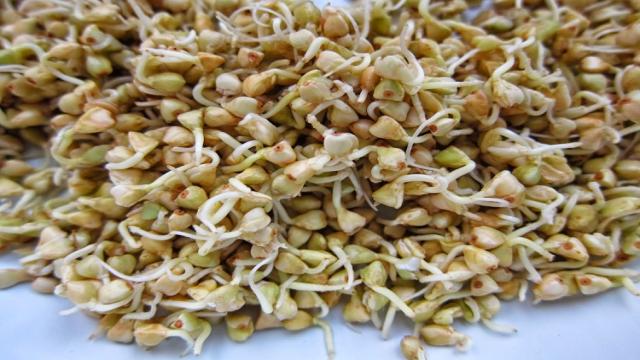 Чем зелёная гречка отличается от коричневой и стоит ли за неё переплачивать