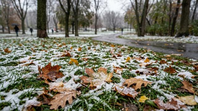 Когда выпадет первый снег в вашем городе — прогноз на осень 2026 года