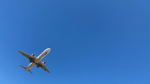 Минтранс расширит сервис посадки по биометрии в аэропортах и на вокзалах