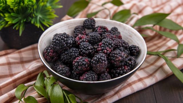 Настоящий суперфуд: ученые раскрыли удивительное действие шелковицы на микробиом