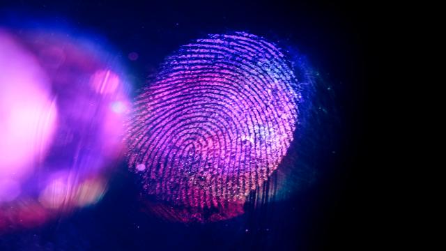 «Яндекс ID» добавил авторизацию по биометрическим данным