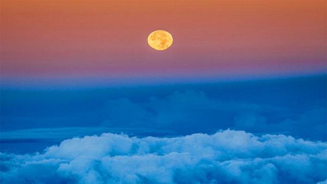 Yandex Cloud обошел рынок по темпам роста выручки