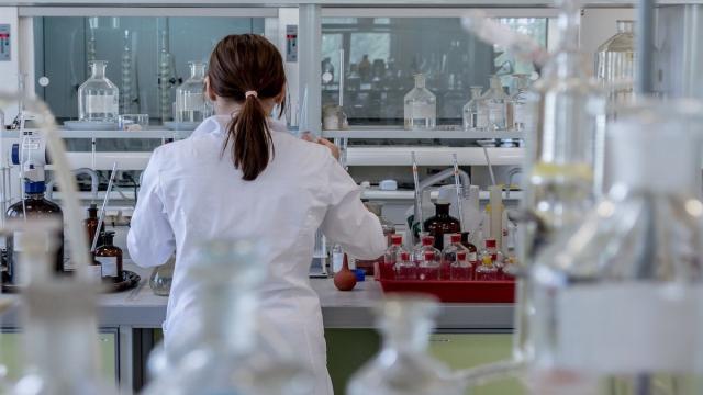 Представлен первый в мире редактор генов с открытым исходным кодом