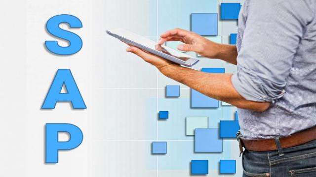 Локализация SAP принесла ЛАБ СП основной доход