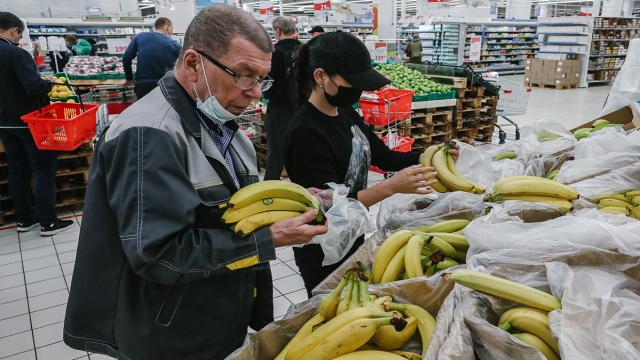 Российские ученые создали прибор для анализа качества продуктов по запаху