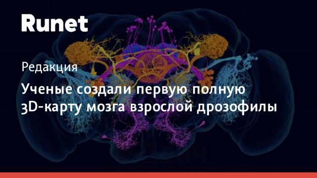 Ученые создали первую полную 3D-карту мозга взрослой дрозофилы