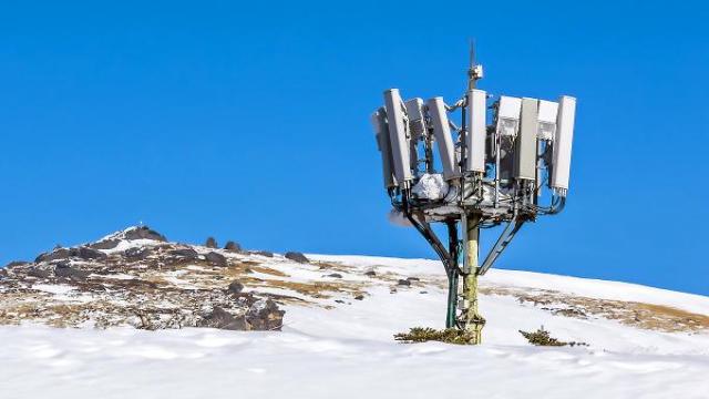 Лес густой: T2 установила 36 тыс. базовых станций в 2024 г.