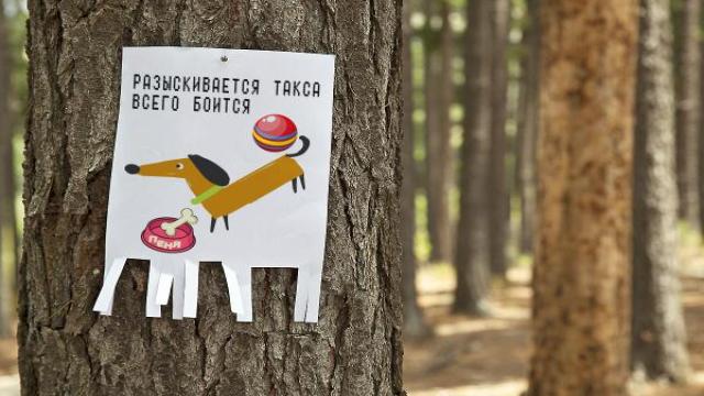 Не пойман, но вор. Налоговая проконтролирует продавцов на маркетплейсах