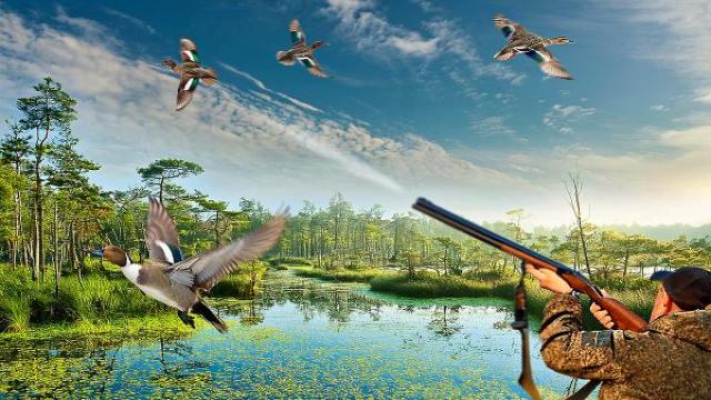 Лицензии на отстрел. Роскомнадзор аннулировал почти тысячу операторских лицензий