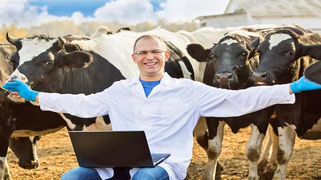 АПК и ретейл углубились в ИТ