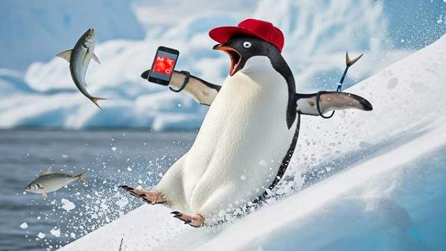 МТС установила базовую станцию в Антарктиде