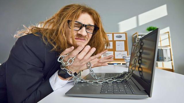 Тренды на ветер. Чего хотят ИТ-специалисты