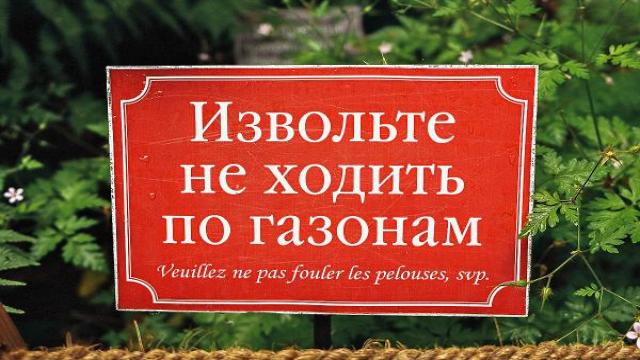 IT или ИТ, вот в чем вопрос: ИТ-компании готовятся к вступлению в силу закона о защите русского языка
