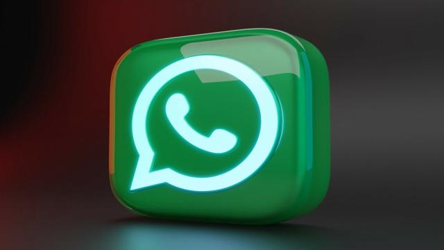 Обновлённый WhatsApp позволяет отправлять 100 фото и видео одновременно