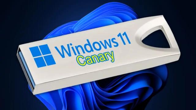 Microsoft бесплатно отправит флешки самым большим поклонникам Windows 11