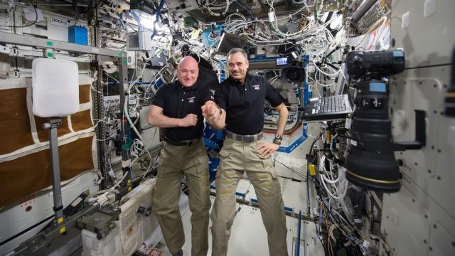 Год в космосе: самая долгая миссия на МКС, какими фактами могут поделиться космонавты
