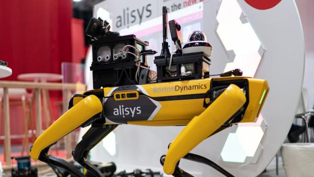 Роботов Boston Dynamics ввезли в Россию параллельным импортом
