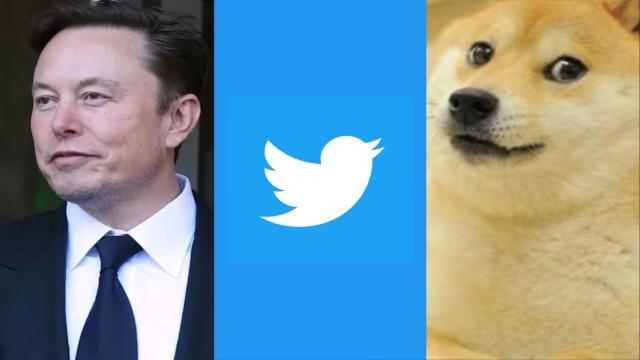 Смена логотипа Twitter сделана для манипуляции курса криптовалюты Dogecoin