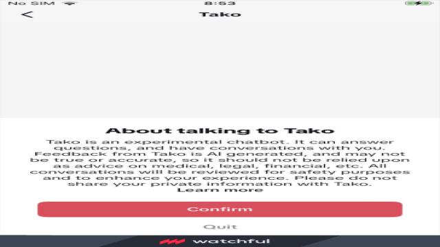 В TikTok появился чат-бот с искусственным интеллектом Tako — пока в тестовом режиме