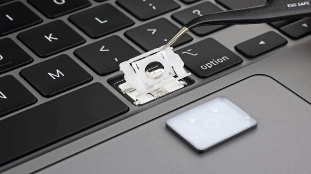 По делу Apple о клавиатуре-бабочке в MacBook приняли мировое соглашение