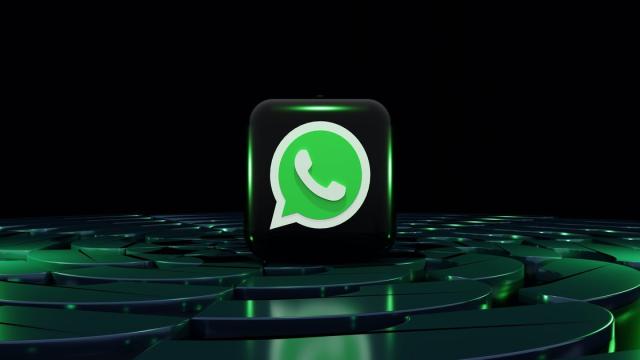 Трансляция экрана: в WhatsApp появится новая функция