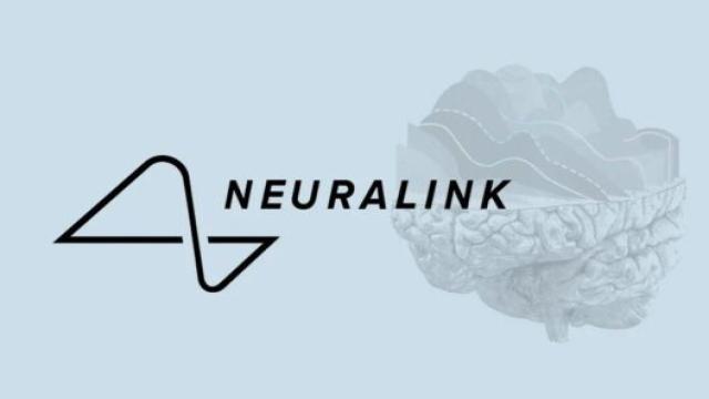 Neuralink начнет тестирование нейрочипов на людях