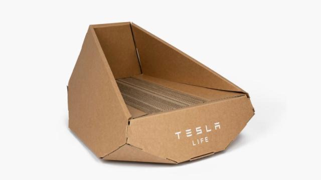 Tesla выпустила картонный Cybertruck для кошек